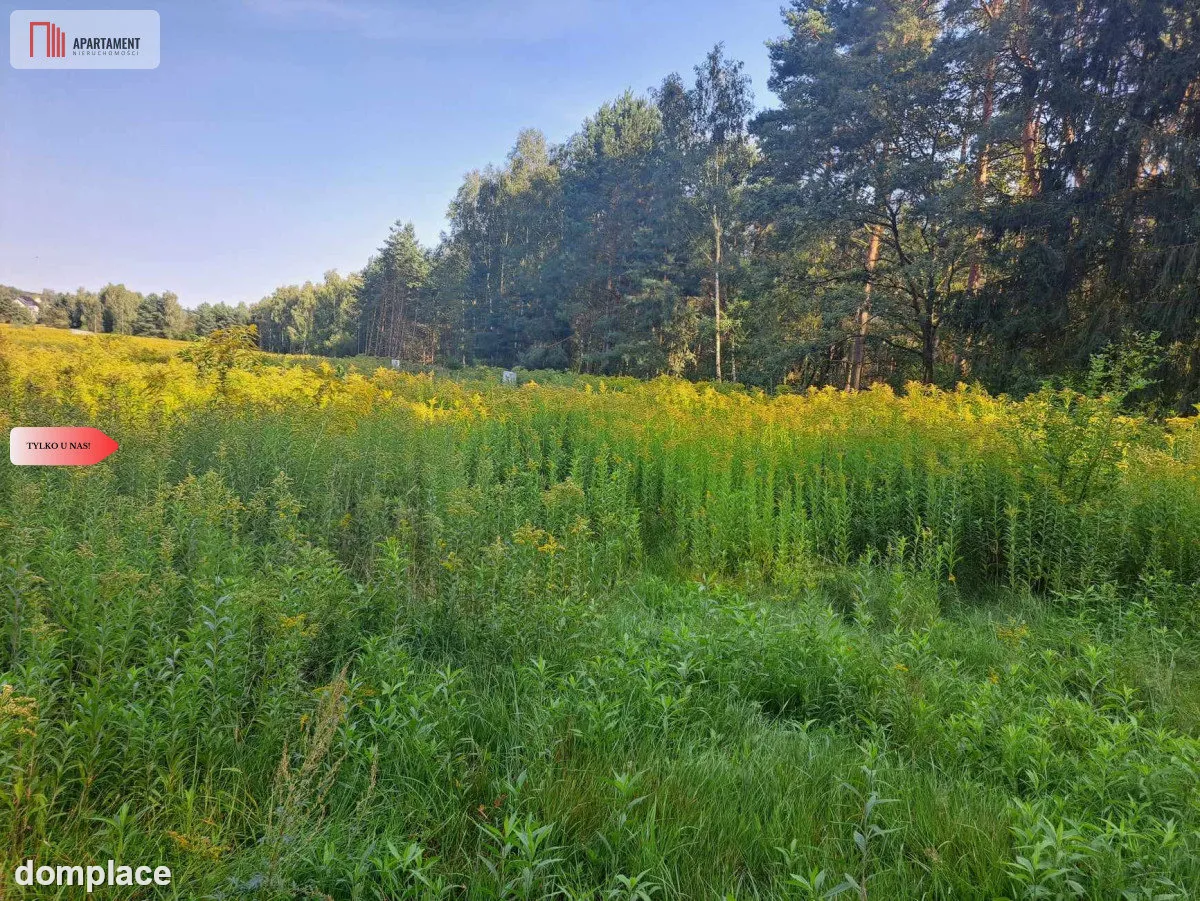 Działka 10 ar budowlana przy ścianie lasu!