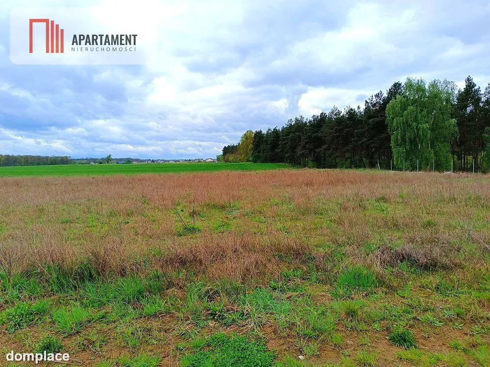 MORZEWIEC 1022m CISZA SPOKÓJ ŚCIANA LASU