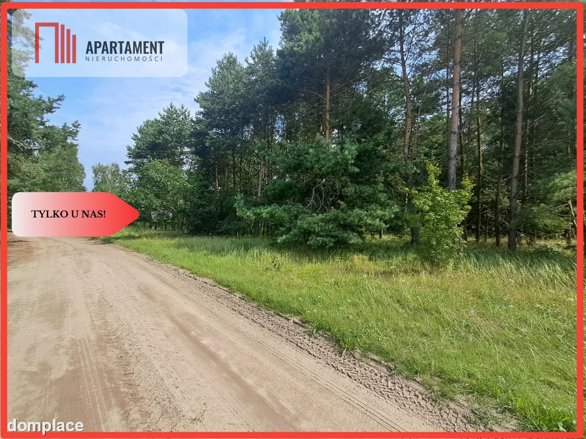 Działka z lasem