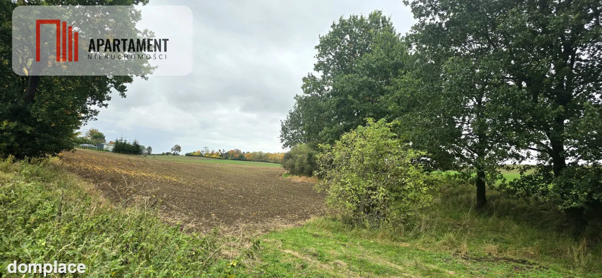 Działka w zielonej okolicy – 3000 m²