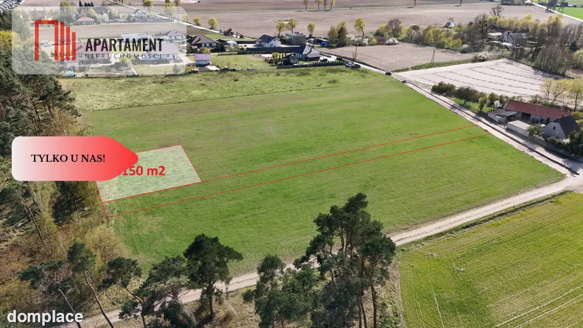 Działka z WZ ze ścianą lasu