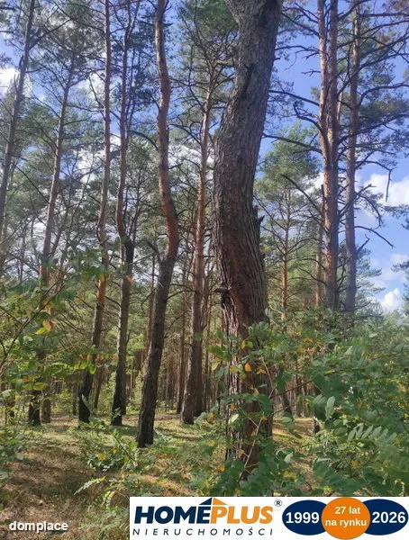 Działka dla miłośników natury i spokoju, Radzymin